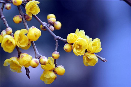 「西南林業(yè)學(xué)院」成人高考要考幾天呢？