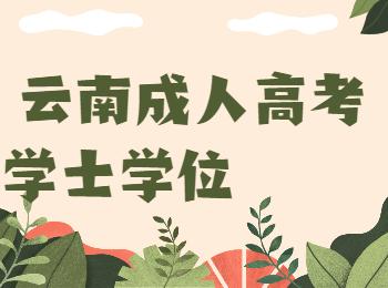 云南成人教育學(xué)位英語(yǔ)