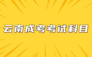 2024年云南成考考試科目有哪些？