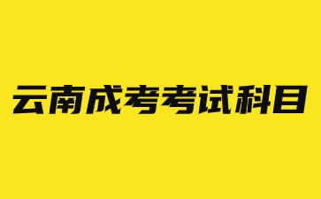 2024年云南省成考考哪些考試科目？