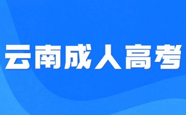2024云南民族大學(xué)函授報(bào)名方式？