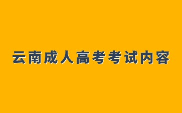 2024年云南成人高考醫(yī)學(xué)專業(yè)考試內(nèi)容說明