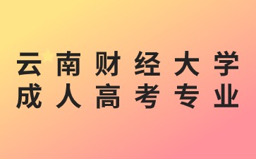 2024年云南財經大學成人高考可以跨專業(yè)報名嗎？
