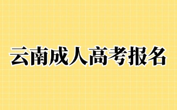 2024年云南成人高考報(bào)名時(shí)間在那一天？